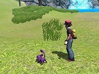 Pokemon 3D