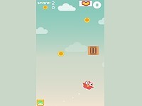 Brave Bird