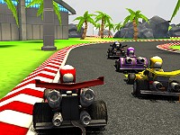 Go Kart Racing