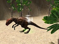 Reptilian Roundup