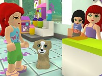 Lego Friends Pet Salon