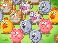 Funny Animals
