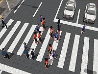 Crossing Fury