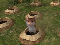 Hamster
