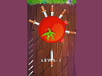 Knife Ninja
