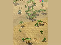 Desert Run