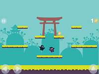 Ninja Shadow Class