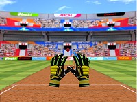 Cricket Fielder Challenge