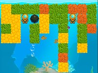 Fancy Diver