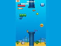 Jumpy Shark